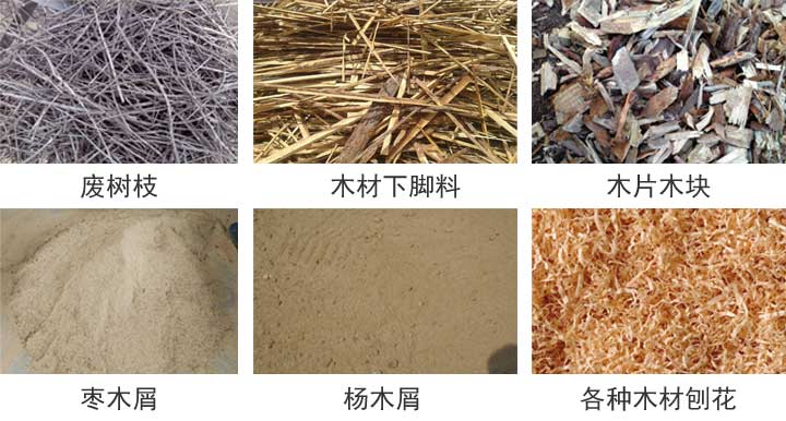 19msj778.jpg 19msj778.jpg