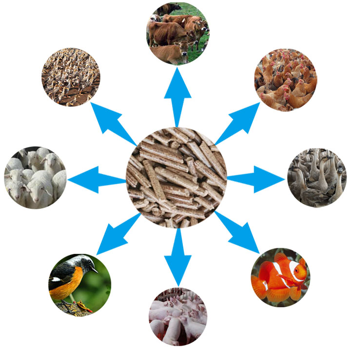 1466846898995239.jpg 1466846898995239.jpg