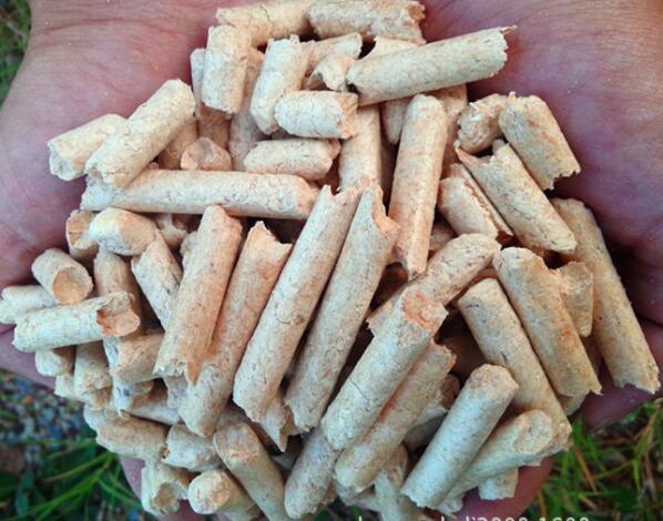 生物質燃料顆粒機設備 生物質燃料顆粒機設備