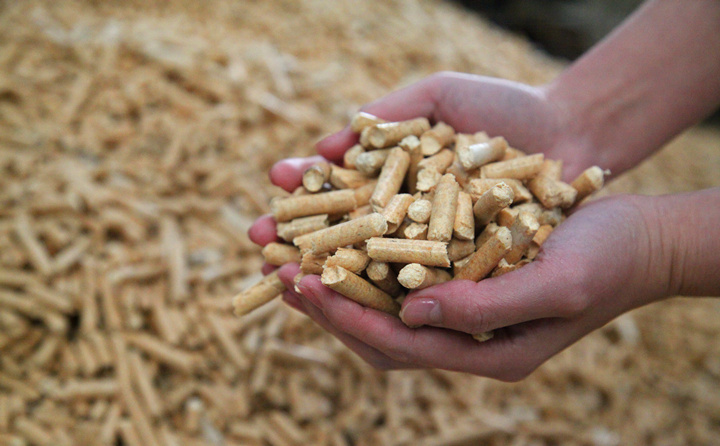 木屑顆粒機生物質顆粒燃料 木屑顆粒機生物質顆粒燃料