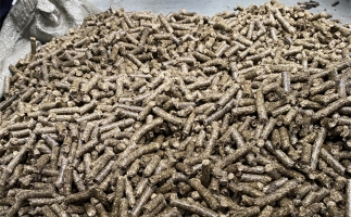 鋸末顆粒機(jī)的顆粒燃料比煤炭貴，為什么還有那么多人用？