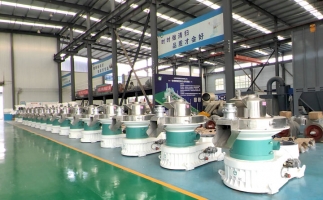 新手開顆粒廠，該選小型還是大型木屑顆粒機？